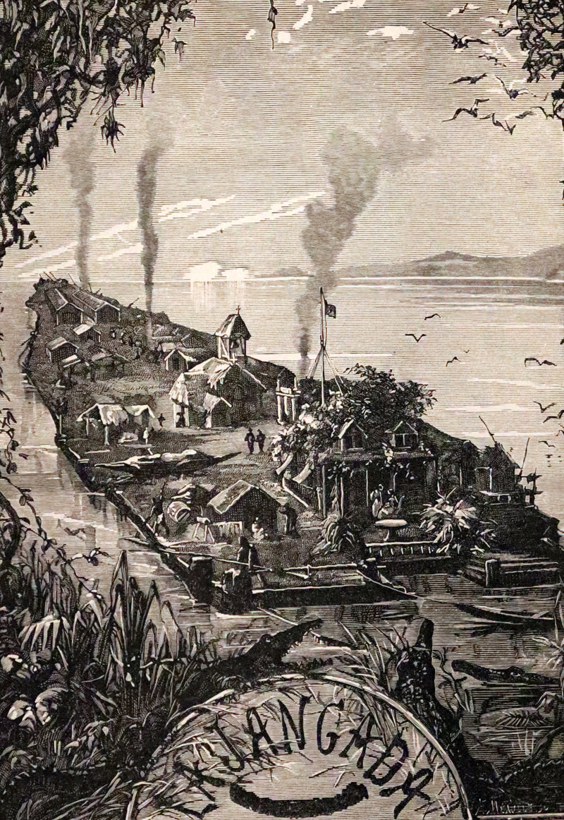 1885 Rare Complete set - Jules Verne The Giant Raft I & II. Eight Hundred Leagues on the Amazon & The Cryptogram.