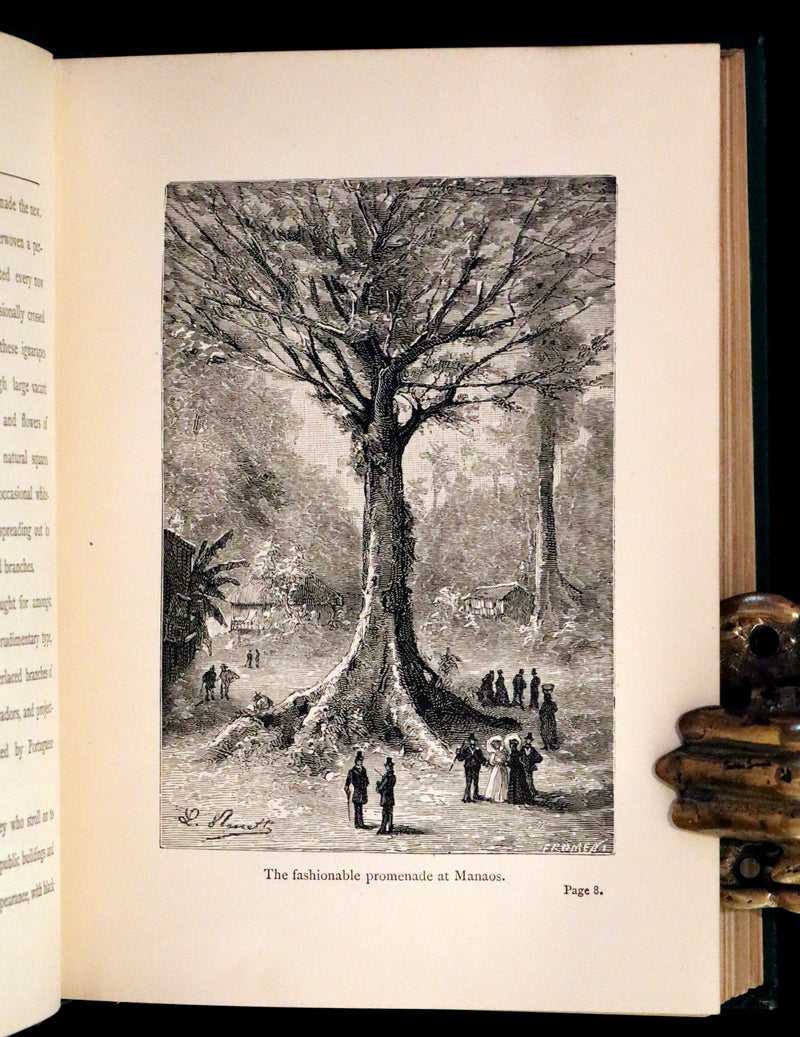 1885 Rare Complete set - Jules Verne The Giant Raft I & II. Eight Hundred Leagues on the Amazon & The Cryptogram.