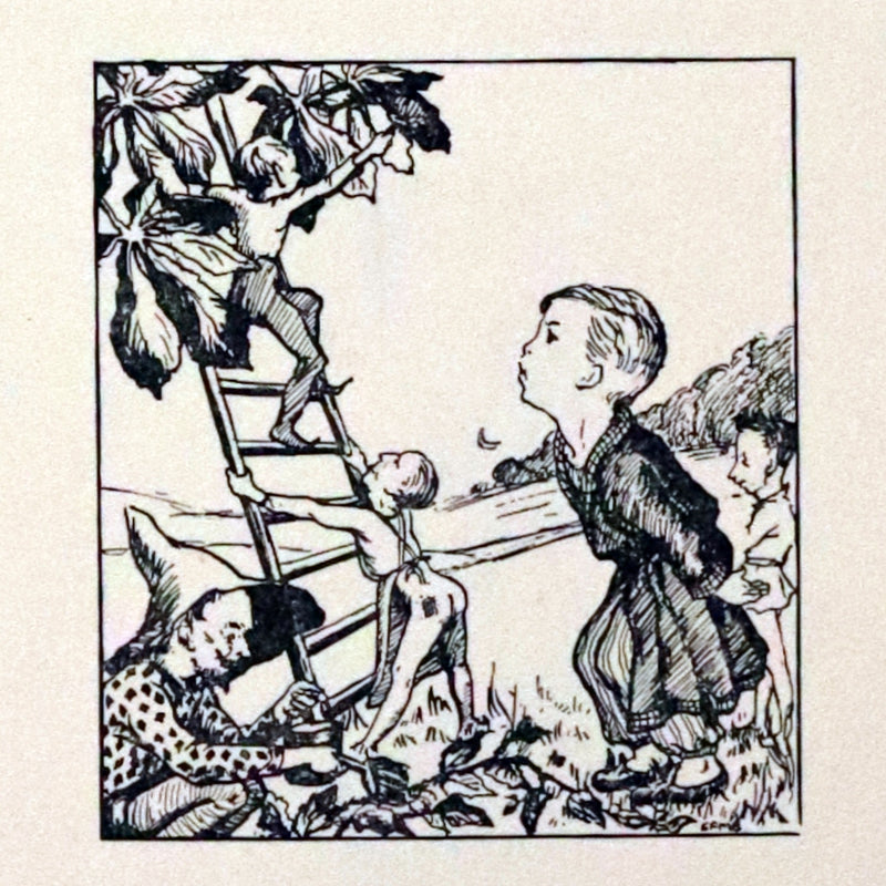 1931  Rare 1stED inscribed by the Author - Furry Folk & Fairies by Margery Hart, Illustrated by Elizabeth Bevan & Norman Hart.