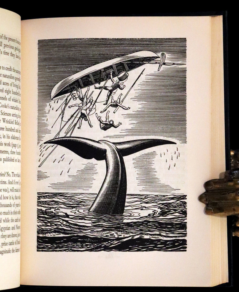 1930 Rare First Edition - MOBY DICK or The Whale by Melville, illustrated by Rockwell Kent.