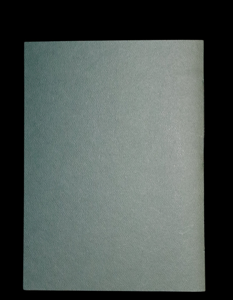 2007 Rare Edition - Mr. Rabbit's Christmas Wish Translated for Humans by Charles van Sandwyk.