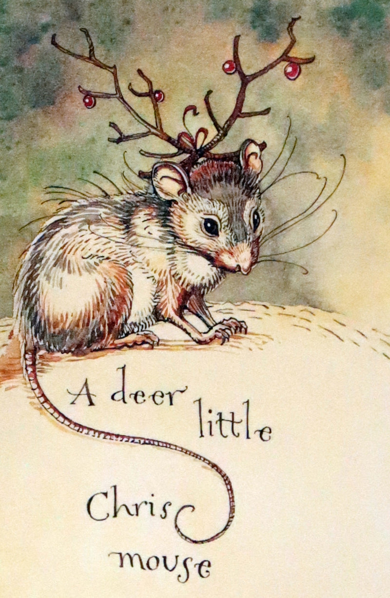 2007 Rare Edition - Mr. Rabbit's Christmas Wish Translated for Humans by Charles van Sandwyk.