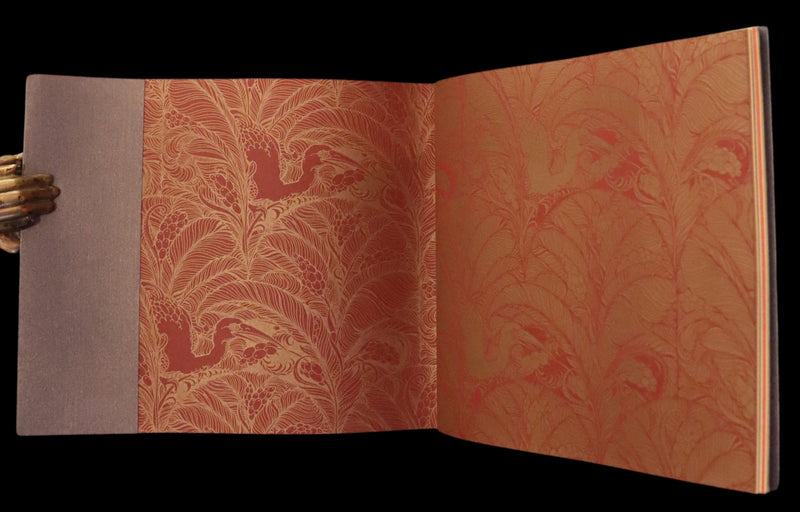 2005 Rare Signed First Edition - Sketches from the Dream Island of Birds by Charles van Sandwyk.