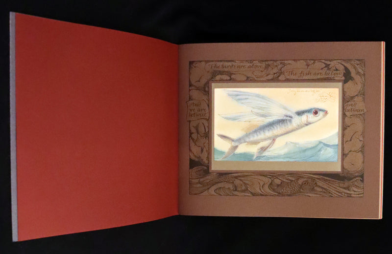 2005 Rare Signed First Edition - Sketches from the Dream Island of Birds by Charles van Sandwyk.