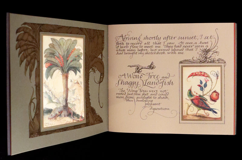 2005 Rare Signed First Edition - Sketches from the Dream Island of Birds by Charles van Sandwyk.