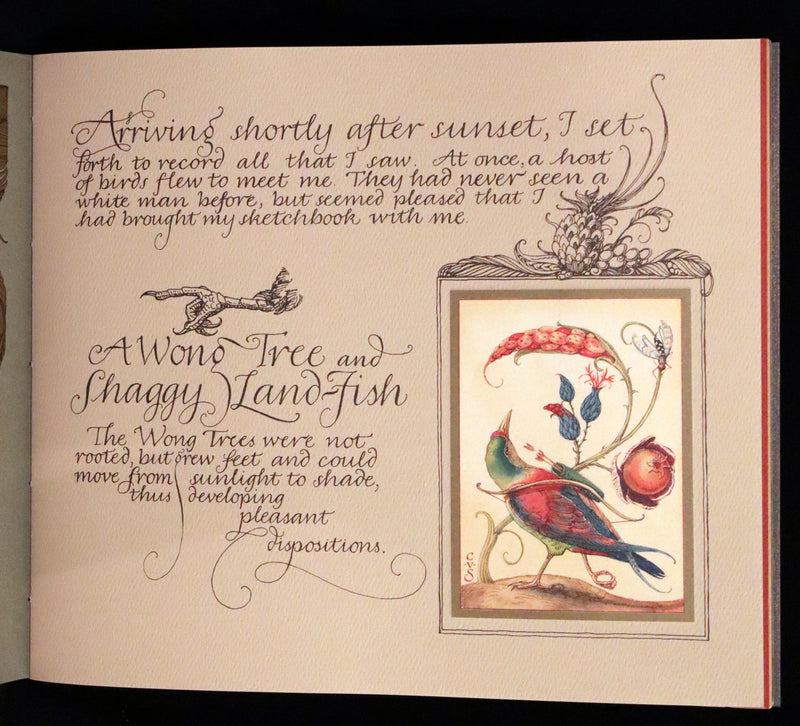 2005 Rare Signed First Edition - Sketches from the Dream Island of Birds by Charles van Sandwyk.
