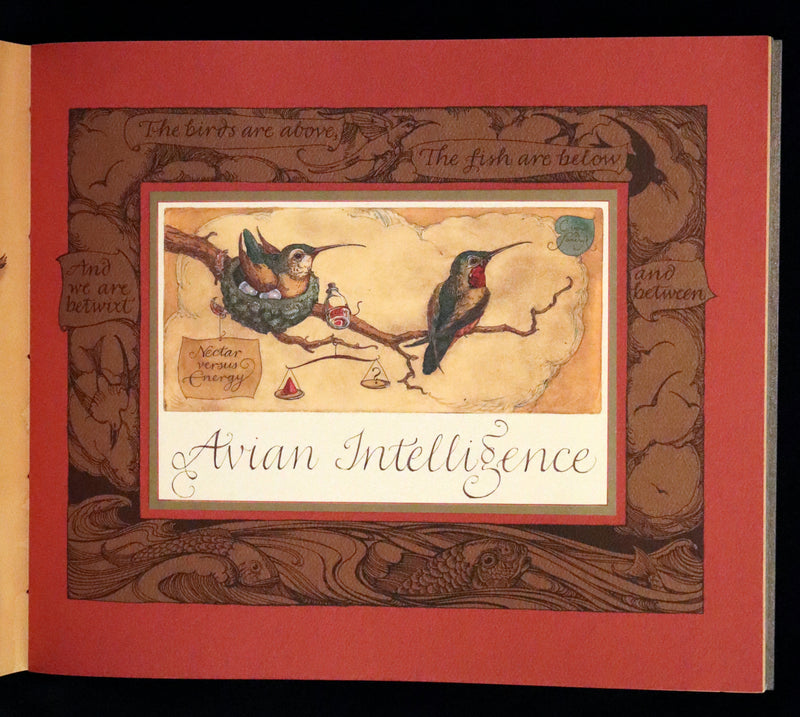 2005 Rare Signed First Edition - Sketches from the Dream Island of Birds by Charles van Sandwyk.