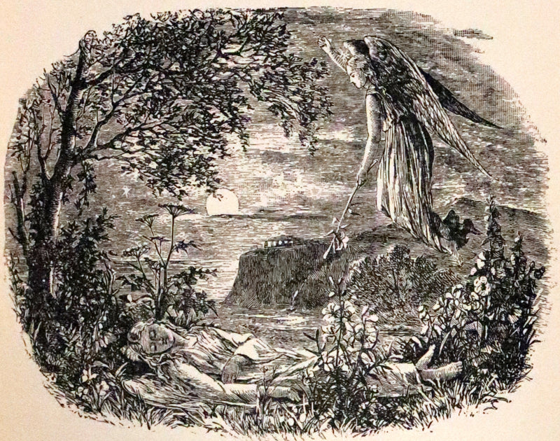 1882 Rare Book - Poems of EDGAR ALLAN POE with a full and impartial Memoir of the Poet.