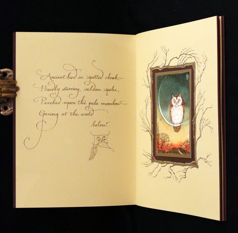 2012 Scarce Signed First Edition - Full Moon Eyes, An Ode to the Wisdom and Forbearance of Owls by Charles Van Sandwyk.