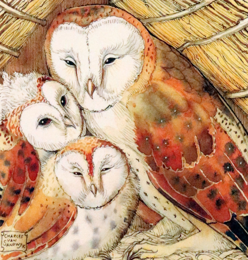 2012 Scarce Signed First Edition - Full Moon Eyes, An Ode to the Wisdom and Forbearance of Owls by Charles Van Sandwyk.