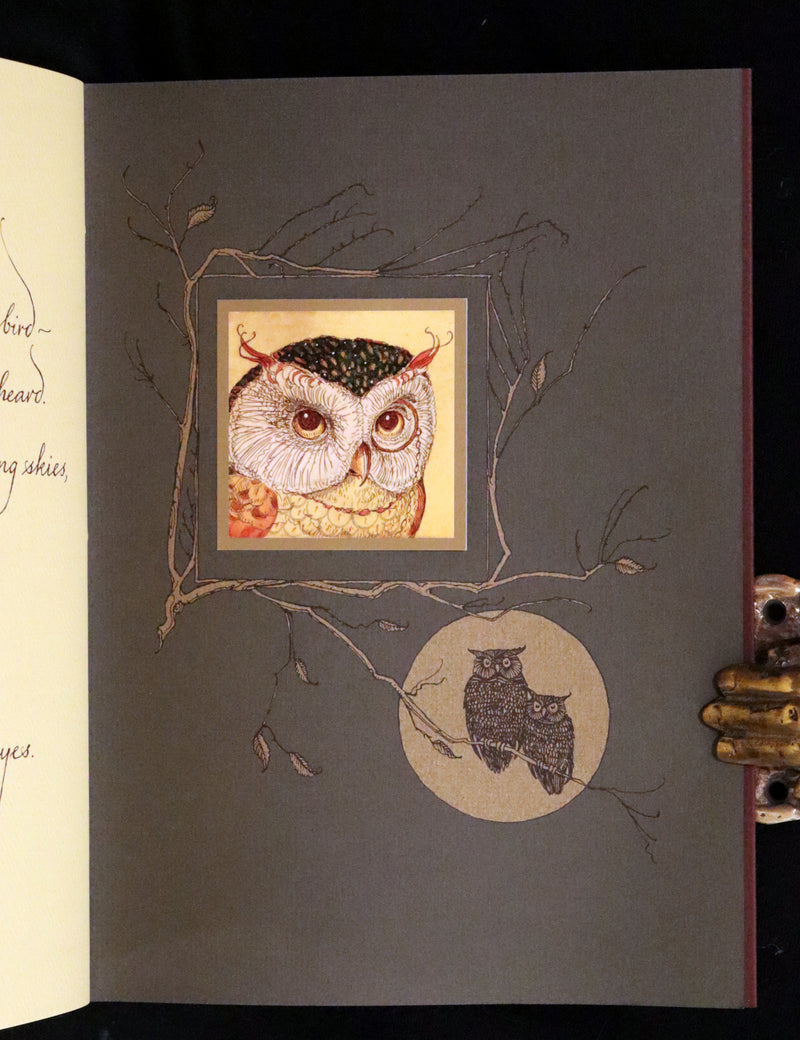 2012 Scarce Signed First Edition - Full Moon Eyes, An Ode to the Wisdom and Forbearance of Owls by Charles Van Sandwyk.