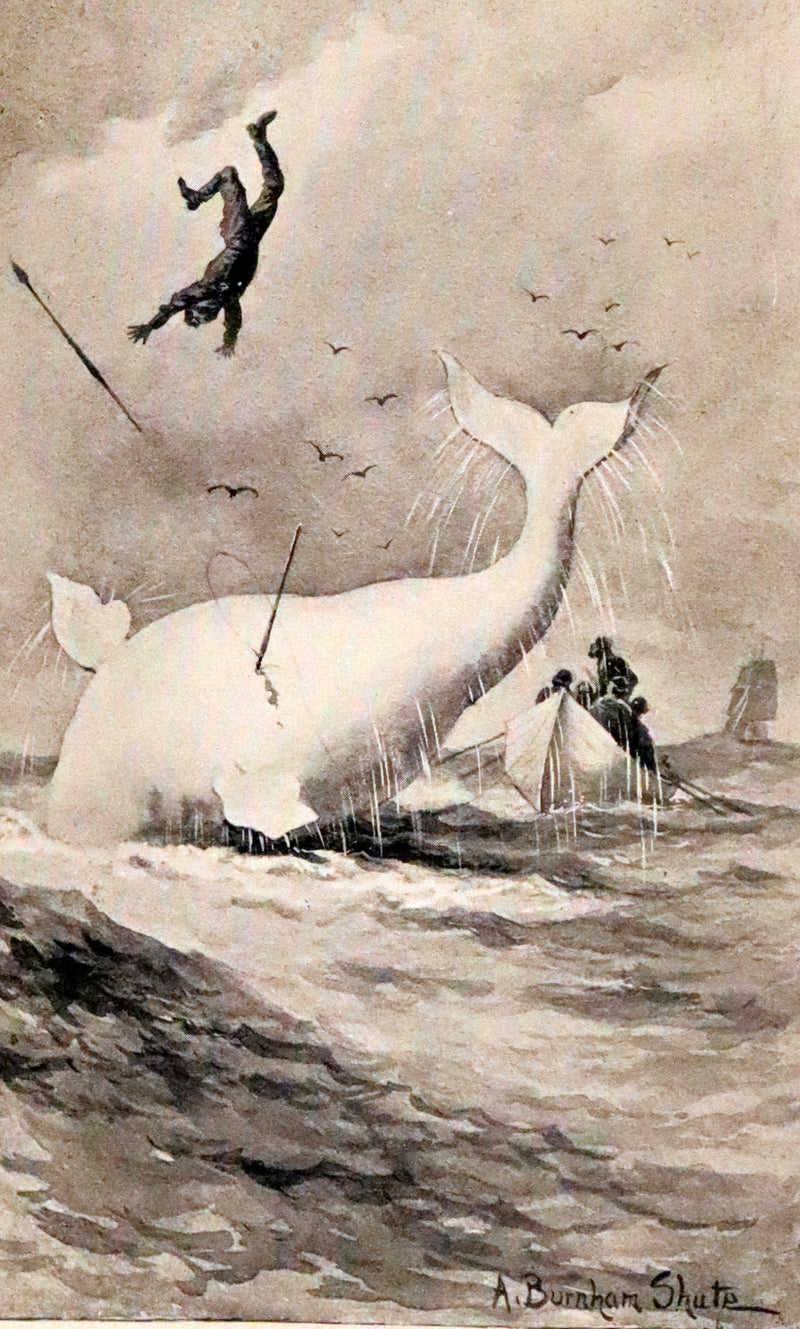 1925 Rare Book - MOBY DICK or The White Whale by Herman Melville illustrated by Augustus Burnham Shute.