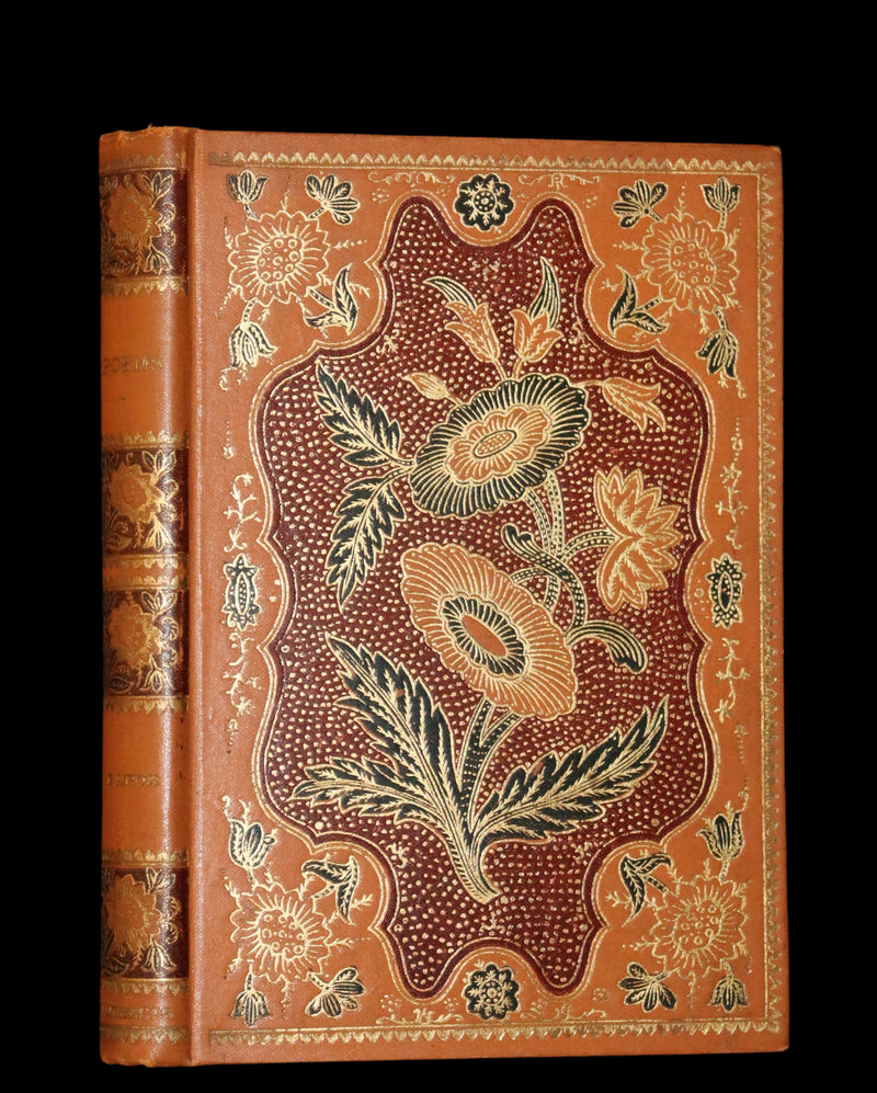 1895 Rare Book - Poems by Edgar Allan POE Illustrated (The Raven, The Haunted Palace, Lenore, ...).