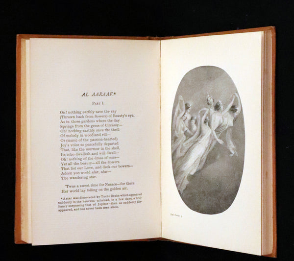 1895 Rare Book - Poems by Edgar Allan POE Illustrated (The Raven, The Haunted Palace, Lenore, ...).