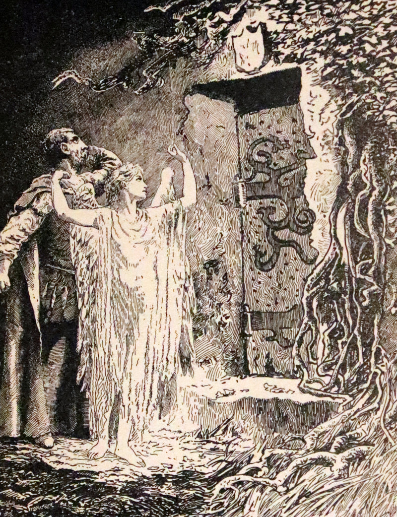 1895 Rare Book - Poems by Edgar Allan POE Illustrated (The Raven, The Haunted Palace, Lenore, ...).