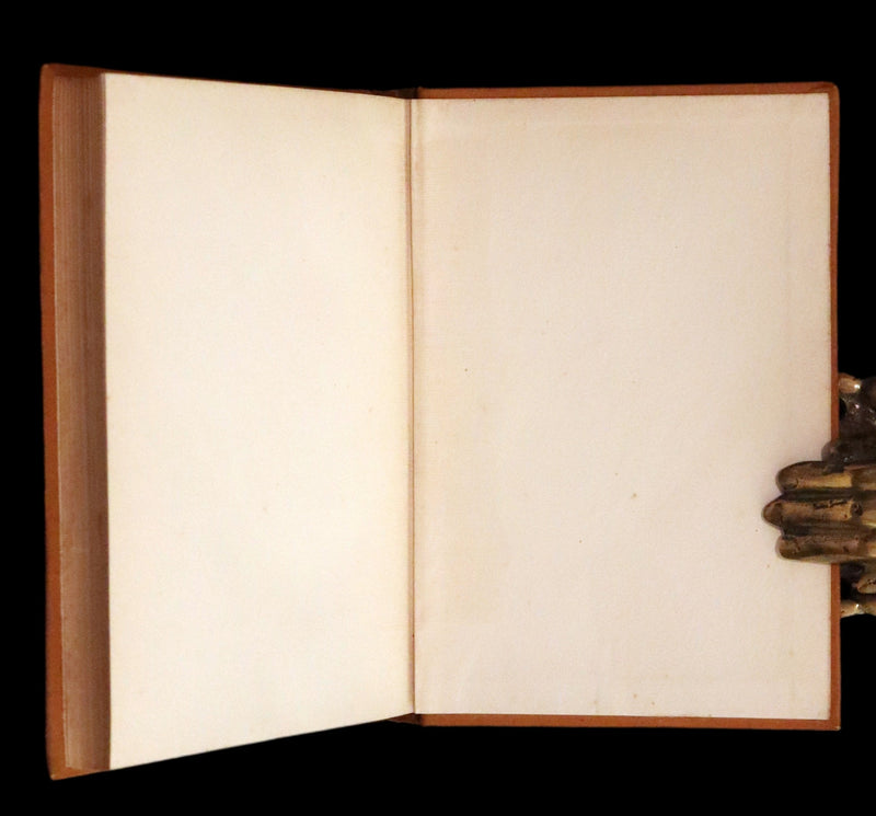 1895 Rare Book - Poems by Edgar Allan POE Illustrated (The Raven, The Haunted Palace, Lenore, ...).