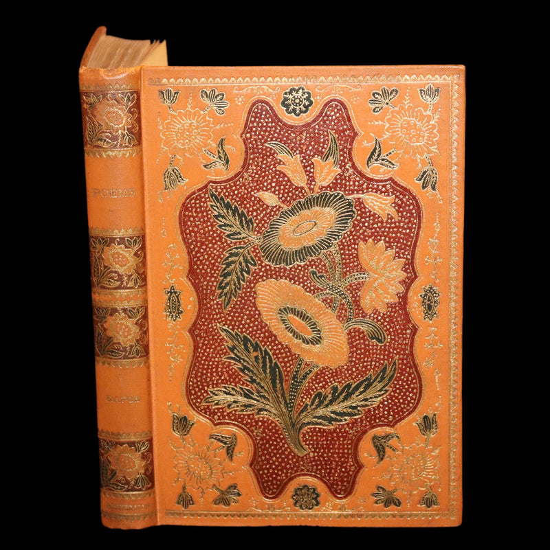 1895 Rare Book - Poems by Edgar Allan POE Illustrated (The Raven, The Haunted Palace, Lenore, ...).