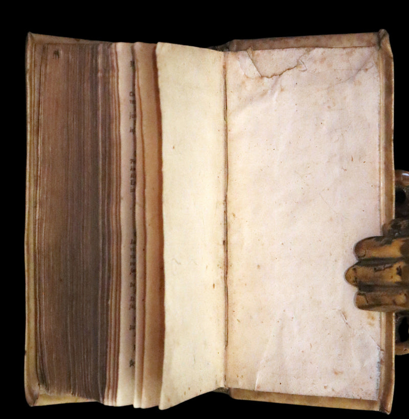 1664 Scarce Latin vellum Book - VIRGIL Works - P. Virgilius Maro (Aeneid, Georgics, etc)