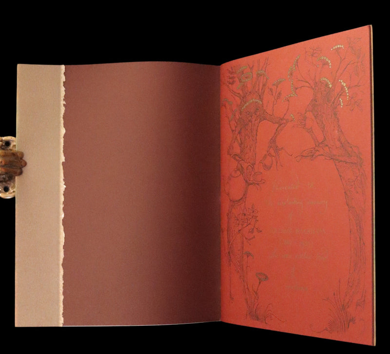 2009 Scarce First Edition - The Fairy Market by Charles van Sandwyk dedicated to Arthur Rackham.