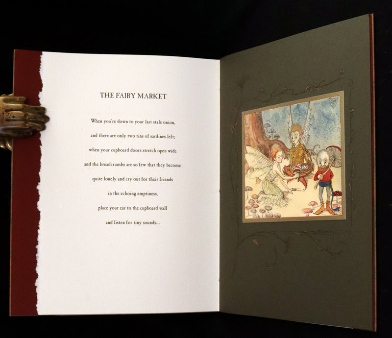 2009 Scarce First Edition - The Fairy Market by Charles van Sandwyk dedicated to Arthur Rackham.