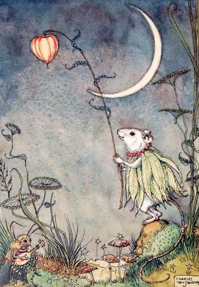 2009 Scarce First Edition - The Fairy Market by Charles van Sandwyk dedicated to Arthur Rackham.