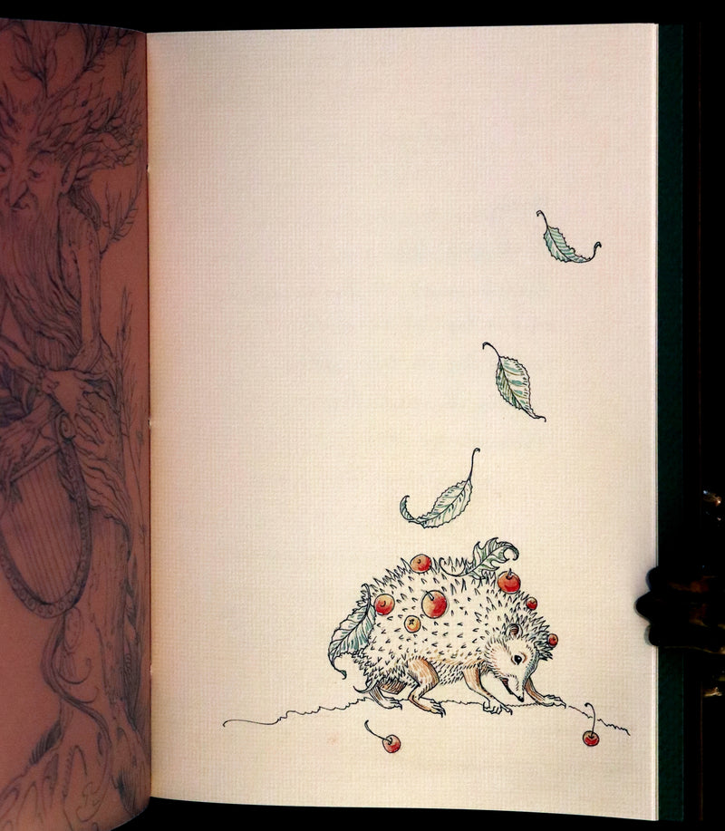 2015 Rare First Edition - Tree Whispers by Charles van Sandwyk.