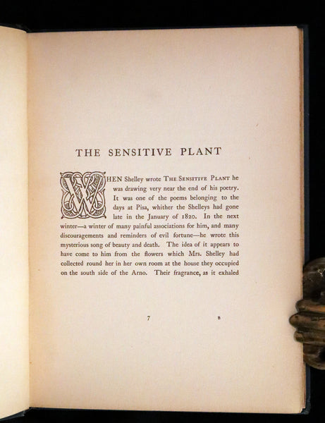 1898 Rare First Edition - The Sensitive Plant by Shelley illustrated by Laurence Housman.