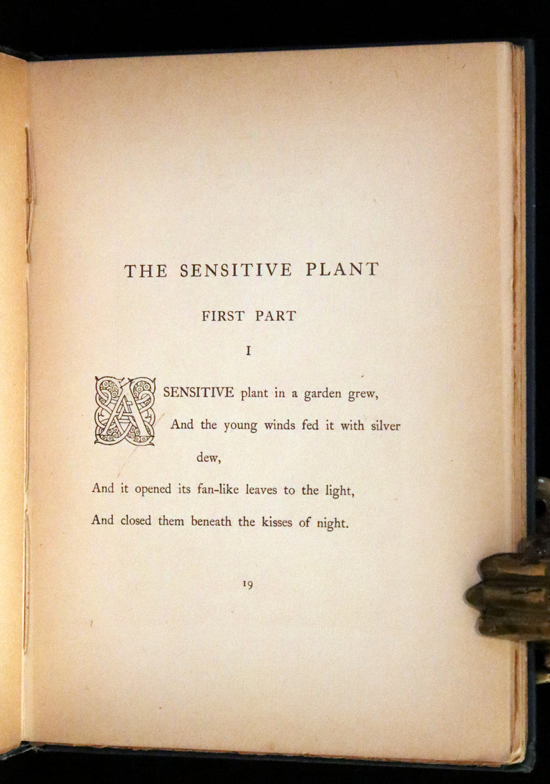 1898 Rare First Edition - The Sensitive Plant by Shelley illustrated by Laurence Housman.