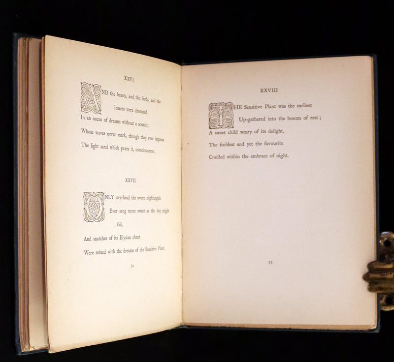 1898 Rare First Edition - The Sensitive Plant by Shelley illustrated by Laurence Housman.