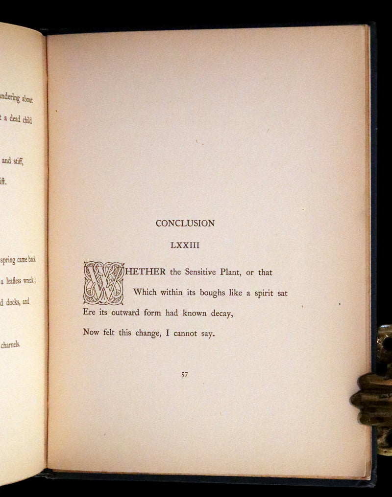 1898 Rare First Edition - The Sensitive Plant by Shelley illustrated by Laurence Housman.