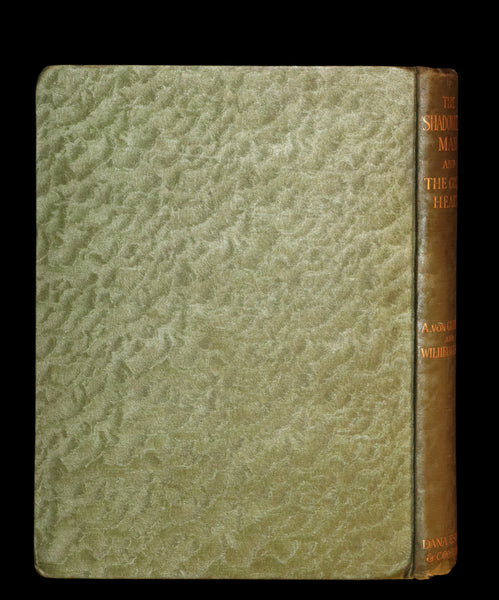 1913 Rare First Edition illustrated by Forster Robson - The Marvellous History of The Shadowless Man and The Cold Heart.