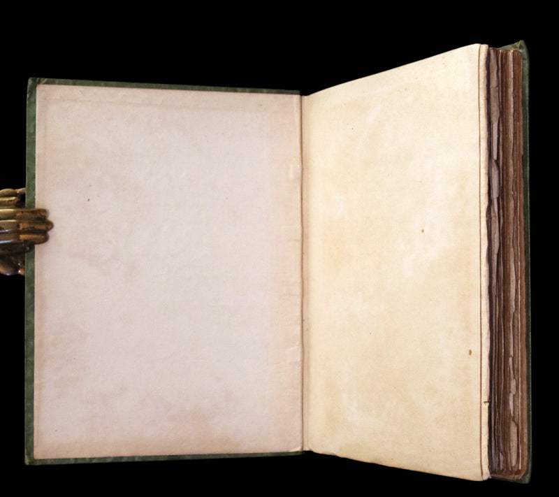 1913 Rare First Edition illustrated by Forster Robson - The Marvellous History of The Shadowless Man and The Cold Heart.