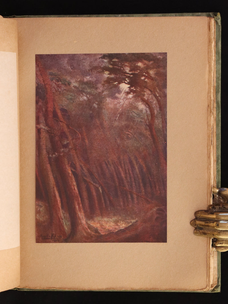 1913 Rare First Edition illustrated by Forster Robson - The Marvellous History of The Shadowless Man and The Cold Heart.