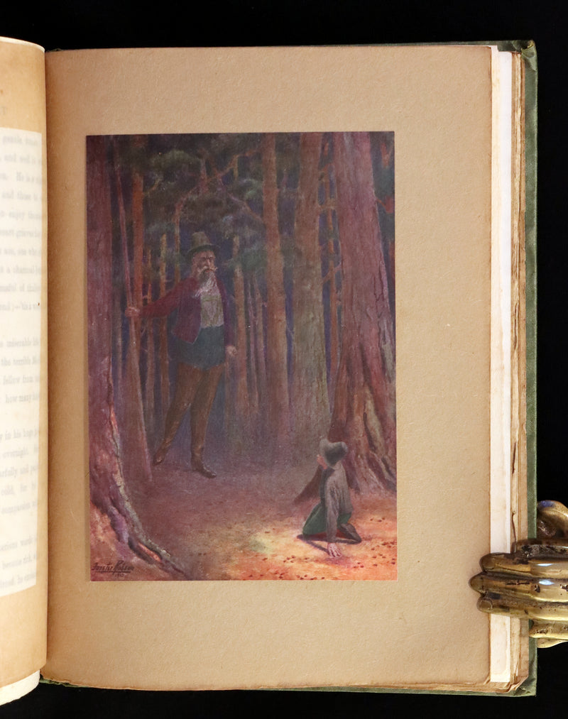 1913 Rare First Edition illustrated by Forster Robson - The Marvellous History of The Shadowless Man and The Cold Heart.