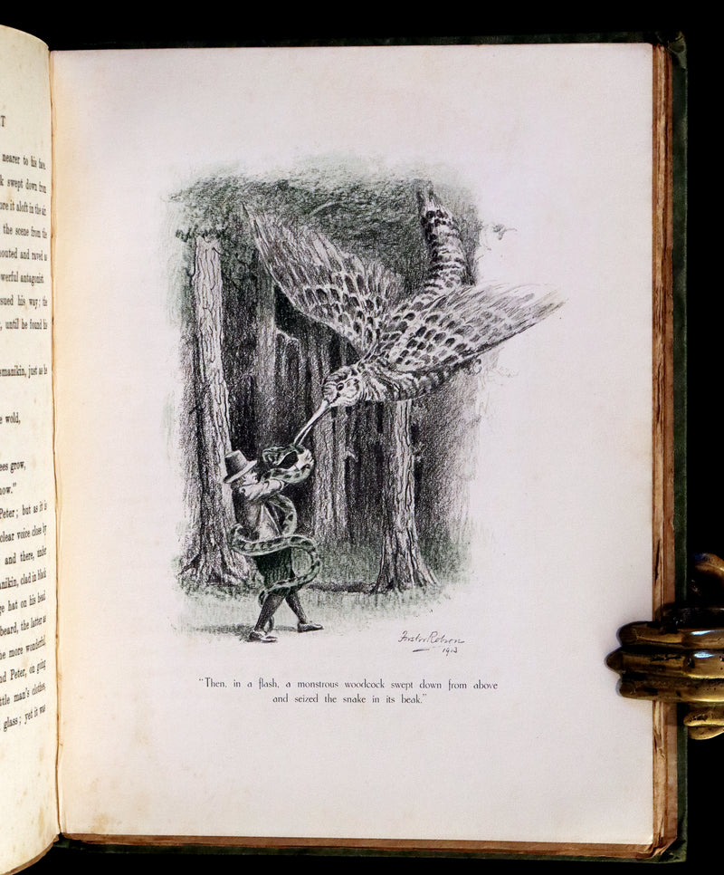 1913 Rare First Edition illustrated by Forster Robson - The Marvellous History of The Shadowless Man and The Cold Heart.