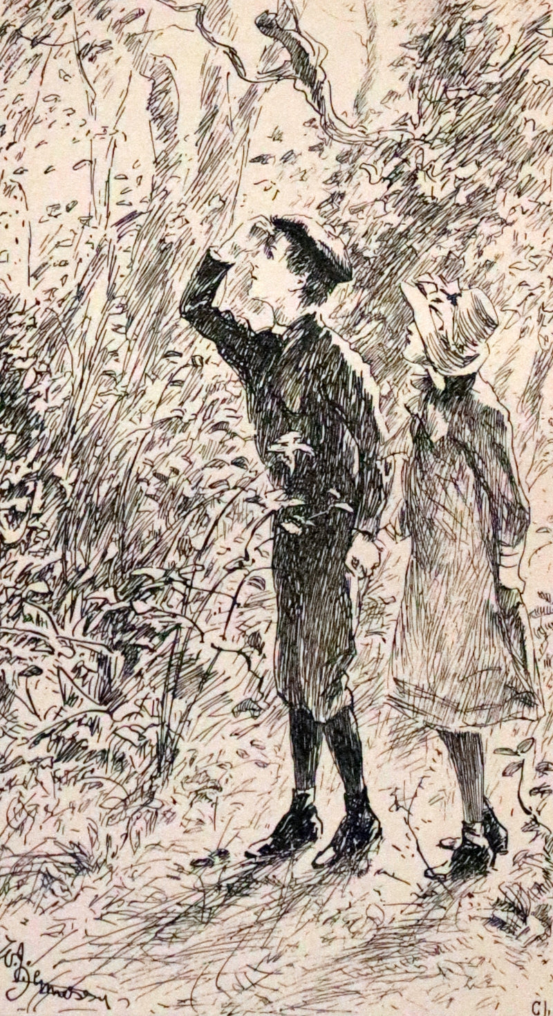 1892 Scarce First Edition - AN ENCHANTED GARDEN, Fairy Stories by Mary Louisa Molesworth illustrated by William John Hennessy.