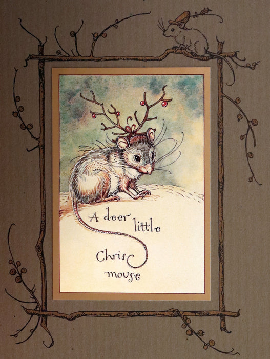 2004 Scarce First Edition - Mr. Rabbit's Christmas Wish Translated for Humans by Charles van Sandwyk.