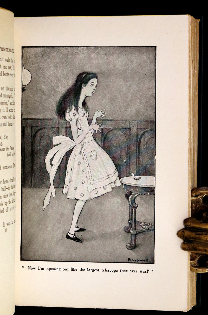 1901 Scarce in Dust Jacket - Alice's Adventures in Wonderland by Lewis Carroll illustrated by Peter Newell.