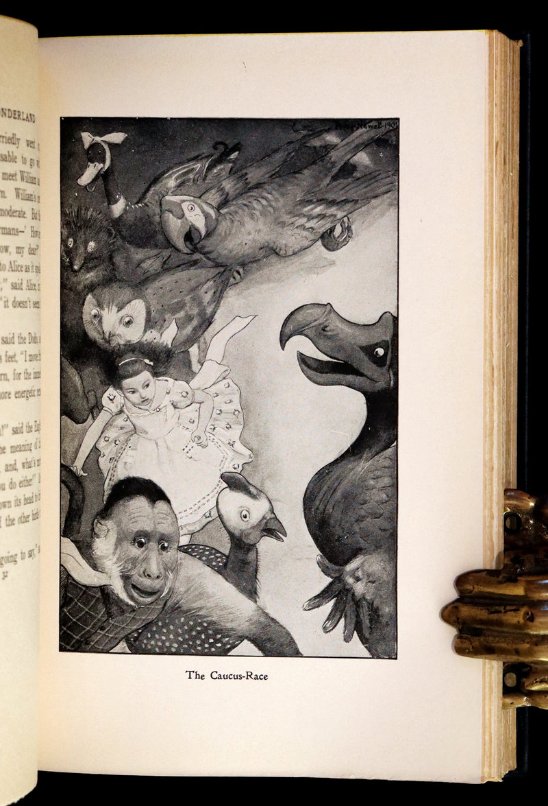 1901 Scarce in Dust Jacket - Alice's Adventures in Wonderland by Lewis Carroll illustrated by Peter Newell.
