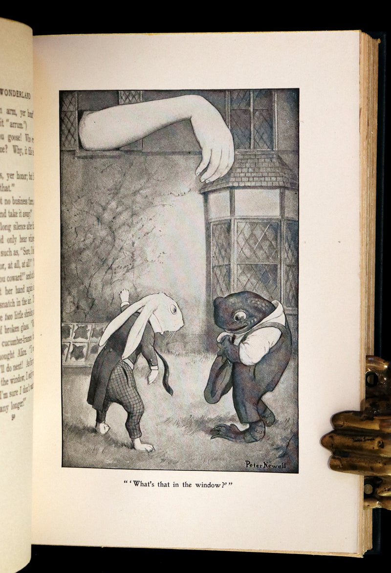 1901 Scarce in Dust Jacket - Alice's Adventures in Wonderland by Lewis Carroll illustrated by Peter Newell.