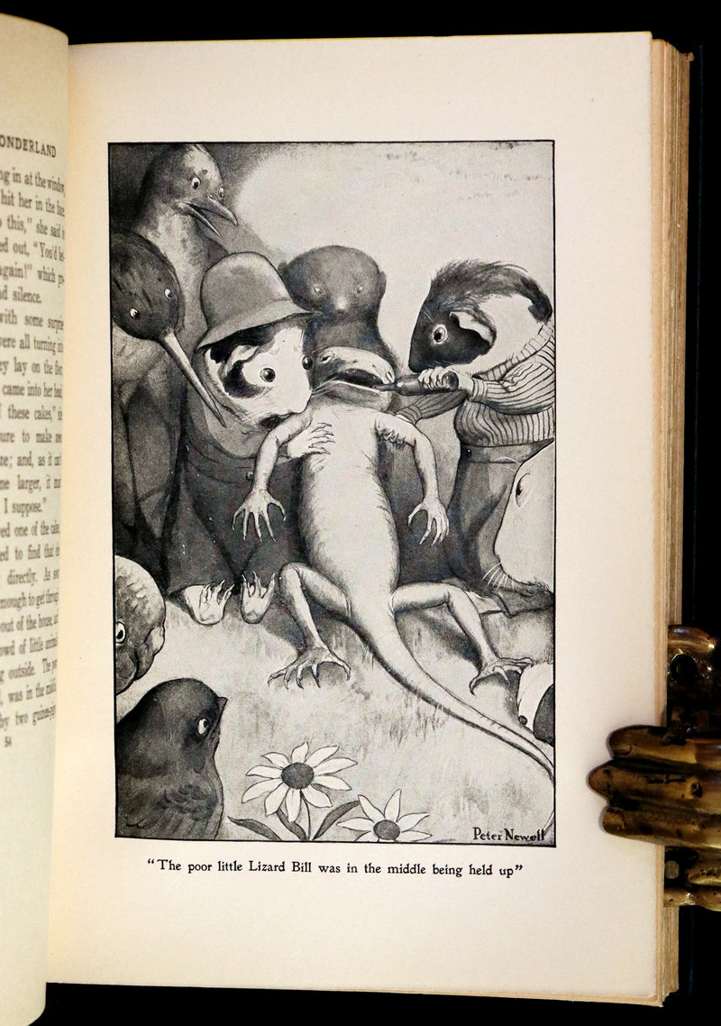 1901 Scarce in Dust Jacket - Alice's Adventures in Wonderland by Lewis Carroll illustrated by Peter Newell.