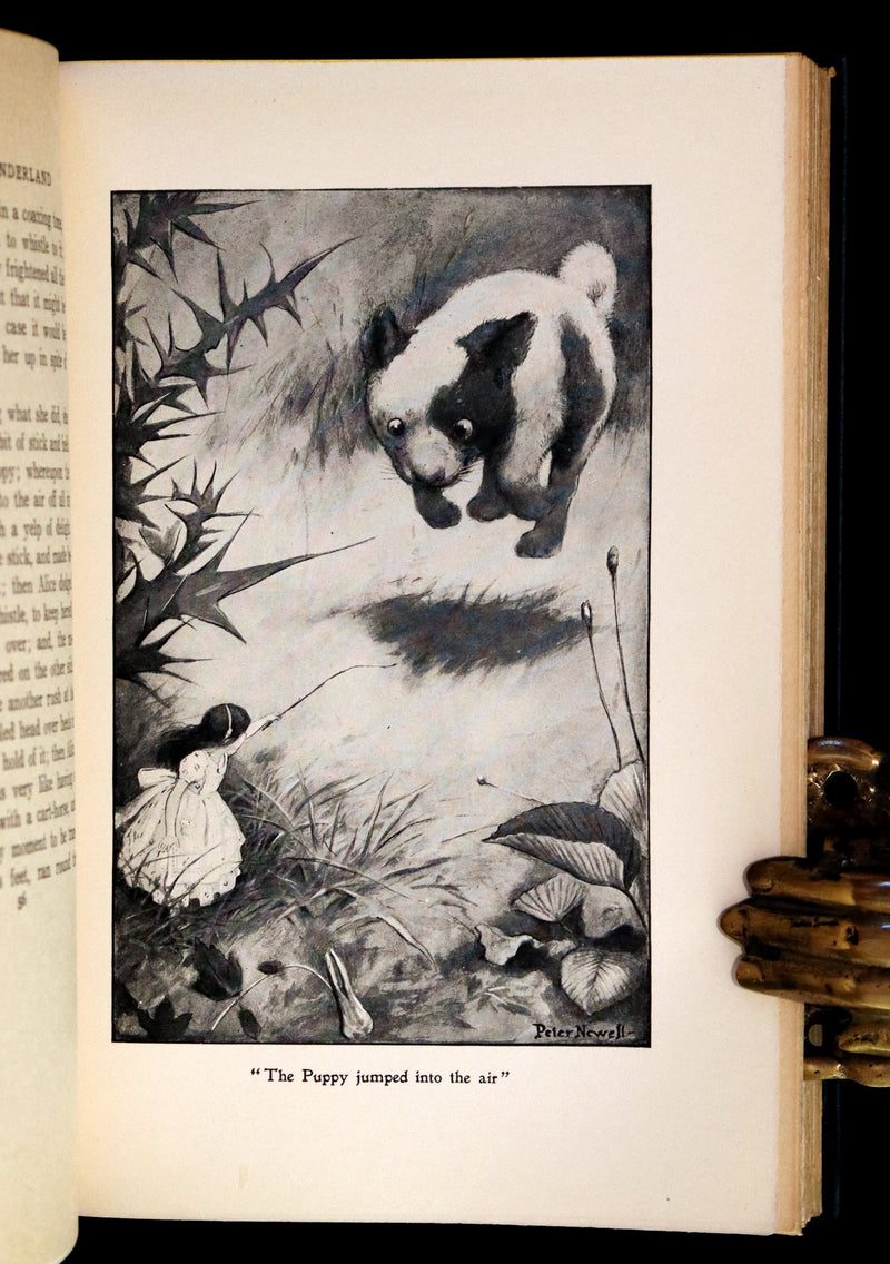 1901 Scarce in Dust Jacket - Alice's Adventures in Wonderland by Lewis Carroll illustrated by Peter Newell.