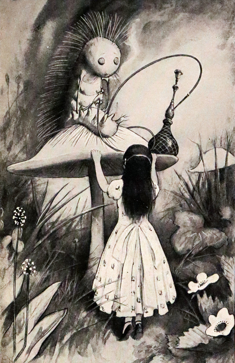 1901 Scarce in Dust Jacket - Alice's Adventures in Wonderland by Lewis Carroll illustrated by Peter Newell.