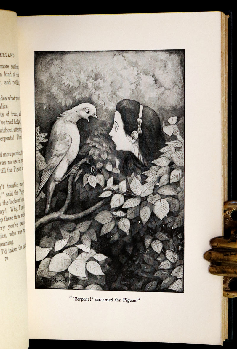 1901 Scarce in Dust Jacket - Alice's Adventures in Wonderland by Lewis Carroll illustrated by Peter Newell.