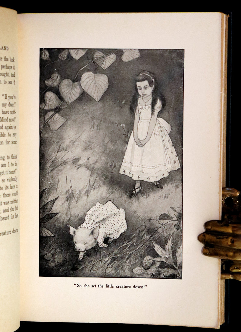 1901 Scarce in Dust Jacket - Alice's Adventures in Wonderland by Lewis Carroll illustrated by Peter Newell.