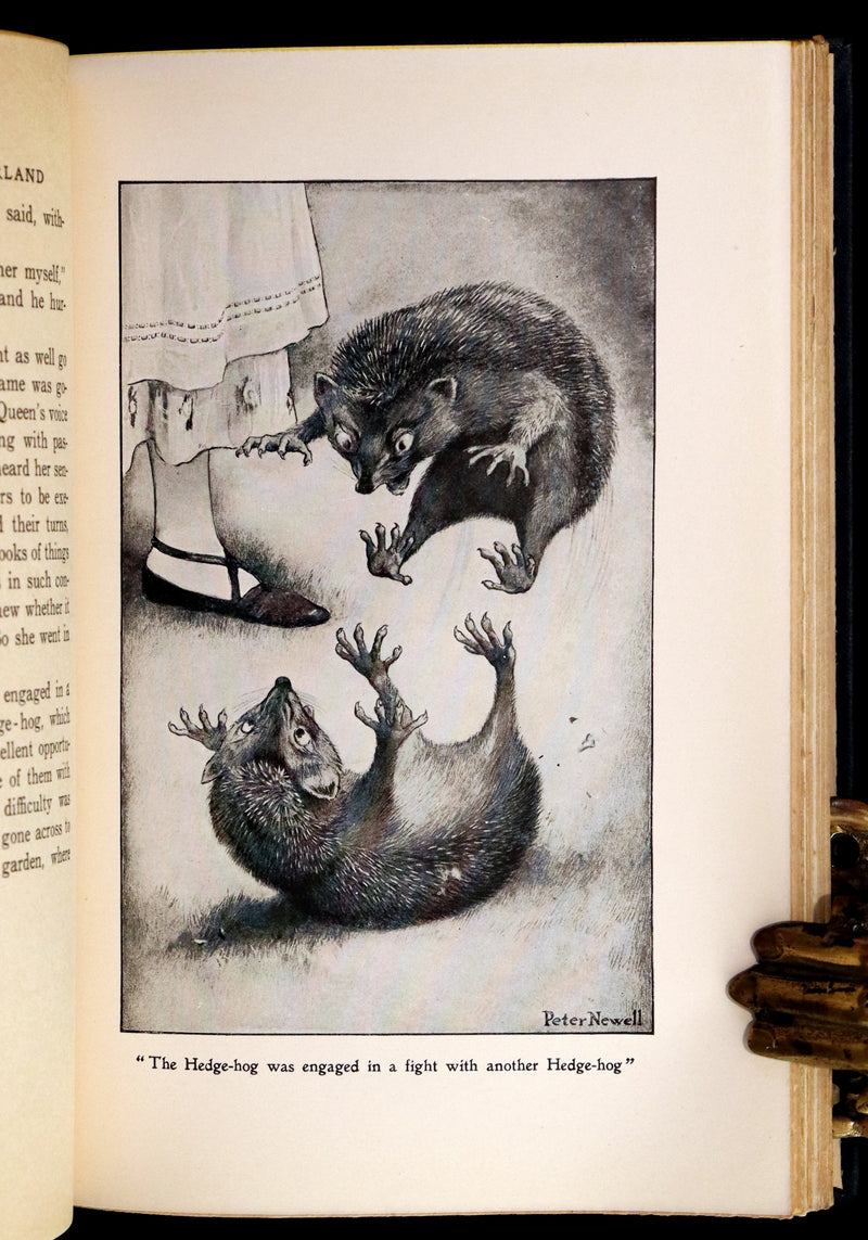 1901 Scarce in Dust Jacket - Alice's Adventures in Wonderland by Lewis Carroll illustrated by Peter Newell.