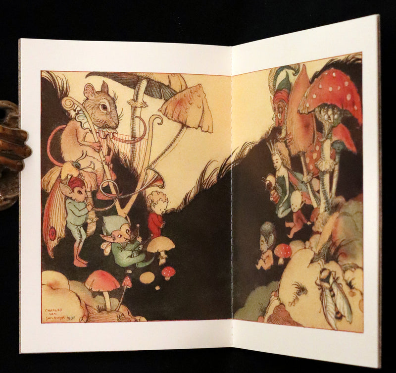 1993 Scarce Signed First Edition - How to See Fairies (Fairy Press) by Charles van Sandwyk.