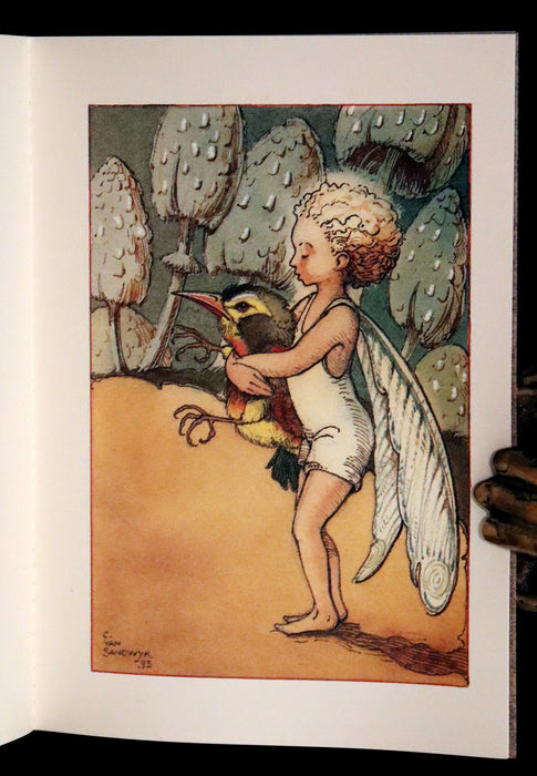 1993 Scarce Signed First Edition - How to See Fairies (Fairy Press) by Charles van Sandwyk.