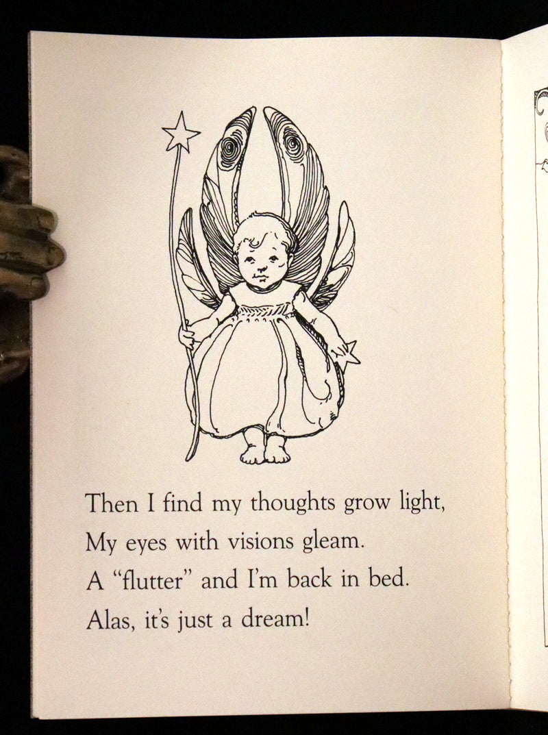 1993 Scarce Signed First Edition - How to See Fairies (Fairy Press) by Charles van Sandwyk.
