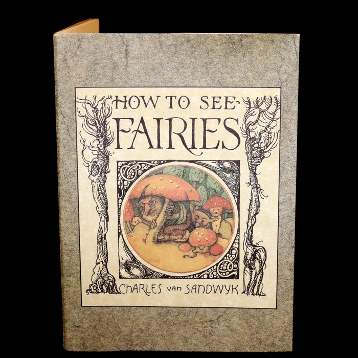 1993 Scarce Signed First Edition - How to See Fairies (Fairy Press) by Charles van Sandwyk.